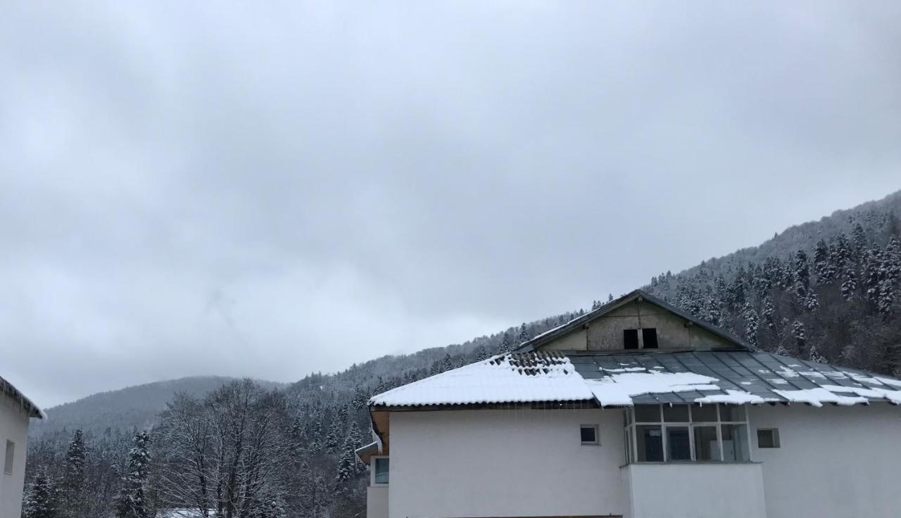 Cocooning In A Lovely Mountain Suite - One Azuga Buitenkant foto